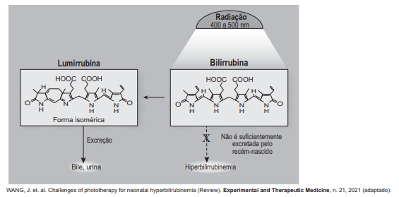transformação da bilirrubina em lumirrubina